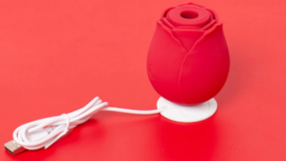 How RoseToy.com Became a Bestselling Brand in the Adult Industry